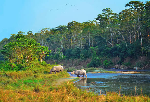 Bardia Wildlife Safari